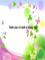 bài 44: sinh sản vô tính ở động vật