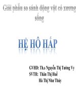 giai phau so sanh he ho hap