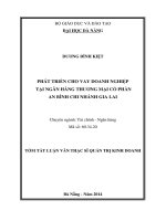 phát triển cho vay doanh nghiệp tại ngân hàng thương mại cổ phần an bình chi nhánh gia lai