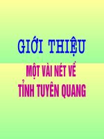 Tuyên Quang quê hương tôi