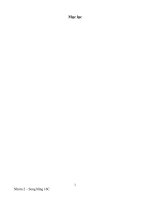 Hệ thống kiểm soát nội bộ kiểm toán căn bản