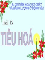 BÀI 15. TIÊU HÓA
