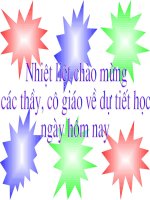 hoat dông kinh te cua co nguoi o doi lanh