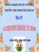 các biên pháp chăm sóc cây trồng