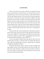 một số giải pháp kiến nghị nhằm hoàn thiện công tác quản lý tiền lương tiền thưởng công ty tvt
