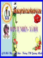 Tiết 24: Cây sống ở đâu