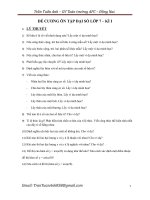 DE CUONG DAI SO 7 HOC KI 1