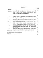 PHÁT TRIỂN NÔNG NGHIỆP THEO HƯỚNG bền VỮNG ở TỈNH hải DƯƠNG HIỆN NAY