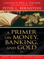 a primer on money, banking and gold (2008)