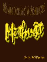 so luoc mt dan toc it nguoi VN