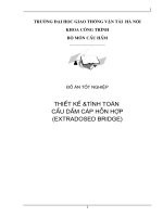 thiết kế  tính toán cầu dầm cáp hỗn hợp