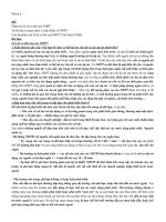 tiểu luận phân tích lý do ra đời của NHPT liên hệ phân tích lý do ra đời của NHPT việt nam (VDB)