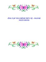ôn tập tài chính ngân hàng