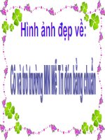 hinh anh cac cô trương Mn Mễ Trì