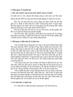 CỔ PHẦN hóa và DÒNG TIỀN CHIẾT KHẤU