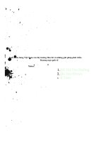 Xuất khẩu hàng việt nam vào thị trường hoa kì và những giải pháp phát triển