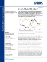 commodities primer Boom, Bust, Re-adjust rbs (2009)