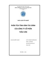 phân tích tình hình tài chính của công ty cổ phần thùy vân