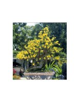 tiet 46 - anh huong lan nhau giua cac sinh vat