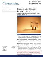 Electric Utilities and Power Primer