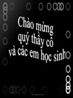 tiet 39 thay boi xem voi