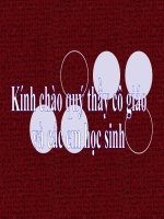 bài 6: các quốc gia Ấn