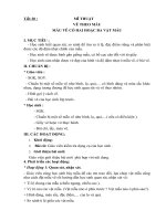 Giáo án Mĩ thuật 5-HK2