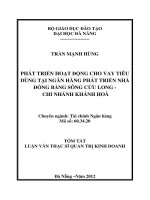 phát triển hoạt động cho vay tiêu dùng tại ngân hàng phát triển nhà đồng bằng sông cửu long - chi nhánh khánh hòa