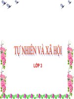 mot so hoat đong o truong