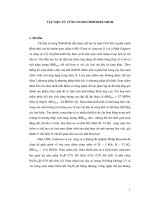 VẬT LIỆU TỪ CỨNG NANOCOMPOSITE NdFeB