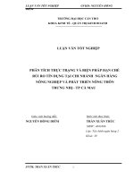 phân tích thực trạng và biện pháp hạn chế rủi ro tín dụng tại chi nhánh ngân hàng nông nghiệp và phát triển nông thôn trưng nhị - tp cà mau