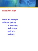 sinh thái nông nghiệp