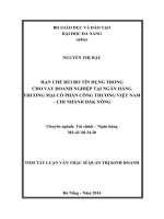hạn chế rủi ro tín dụng trong cho vay doanh nghiệp tại ngân hàng thương mại cổ phần công thương việt nam - chi nhánh đăk nông