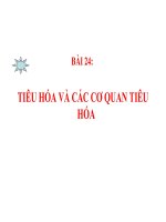 Bài 25- Tiêu hóa và các cơ quan tiêu hóa