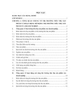 các giải pháp hoàn thiện hoạt động mở rộng thị trường tiêu thụ sản phẩm của công ty cổ phần thực phẩm và nước giải khát dona newtower – chi nhánh hà nội