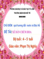 xe dan chum hoa (4-5)