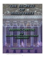 the secrets of wall street; raising capital for start-up and early-stage companies (2010)