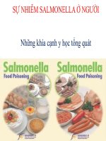 Phương pháp Kiểm Nghiệm Ví Sinh Vật