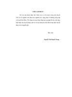 nhân vật và cốt truyện trong tiểu thuyết chu lai