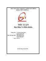 Tiểu Luận  Báo Hiệu Và Điều Khiển