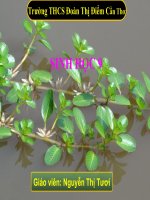 THUONG BIEN SINH HOC 9