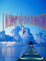 Bài 27: NƯỚC VÀO CÂY ĐI ĐÂU