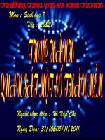 T 20&21 THỰC HÀNH QUAN SÁT THÂN MỀM