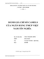 phân tích các chỉ số camels của ngân hàng thương mại cổ phần tín nghĩa