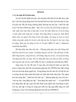 Dạy học chủ đề phương trình, bất phương trình lớp 8 trường trung học cơ sở theo quan điểm của phương pháp dạy học kiến tạo