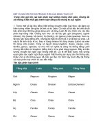 MỘT vài NGUYÊN tắc gọi tên bậc PHÂN LOẠI ĐỘNG