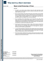 master limited partnerships primer wachovia (2004)