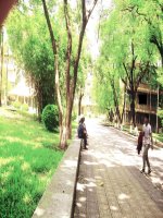 Bai10: cơ cấu tổ chức