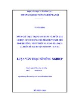 Đánh giá thực trạng sản xuất và bước đầu nghiên cứu sử dụng chế phẩm kivicafe đến sinh trưởng, phát triển và năng suất quả cà phê chè tại huyện Mai Sơn, Sơn La