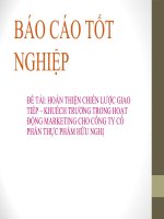 bài số 2 hoàn thiện chiến lược giao tiếp – khuếch trương trong hoạt động marketing cho công ty cổ phần thực phẩm hữu nghị